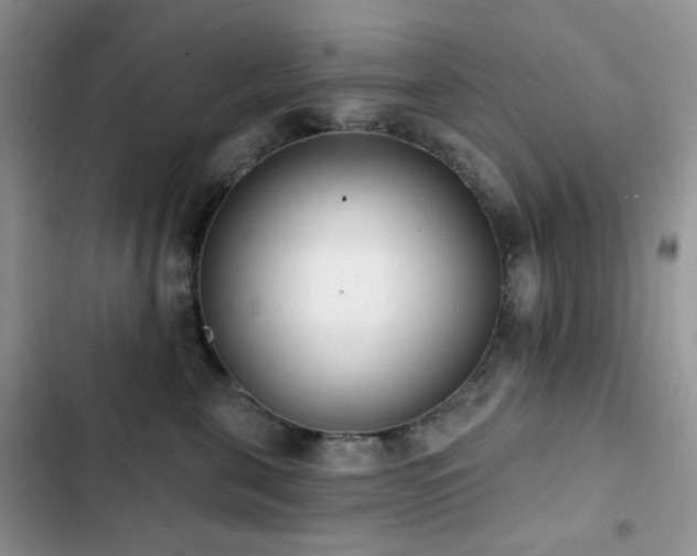 X0000102870571200808181508