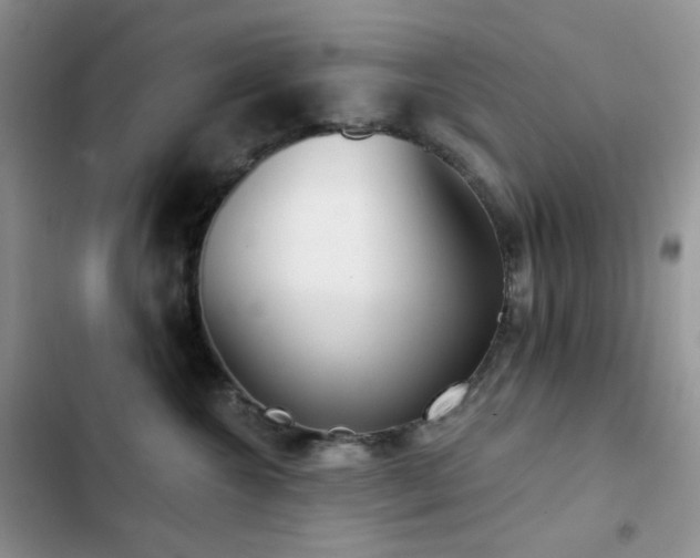 X0000102870572200808181508