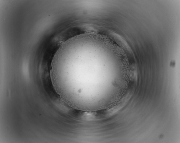 X0000102870573200808181508