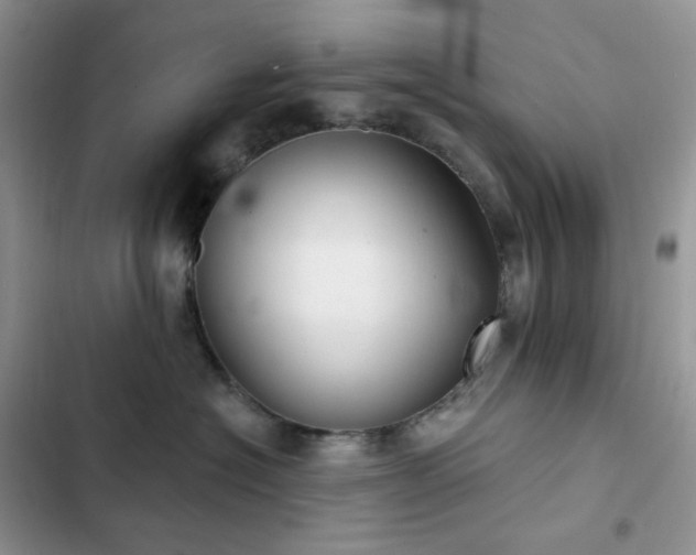 X0000102870574200808181508