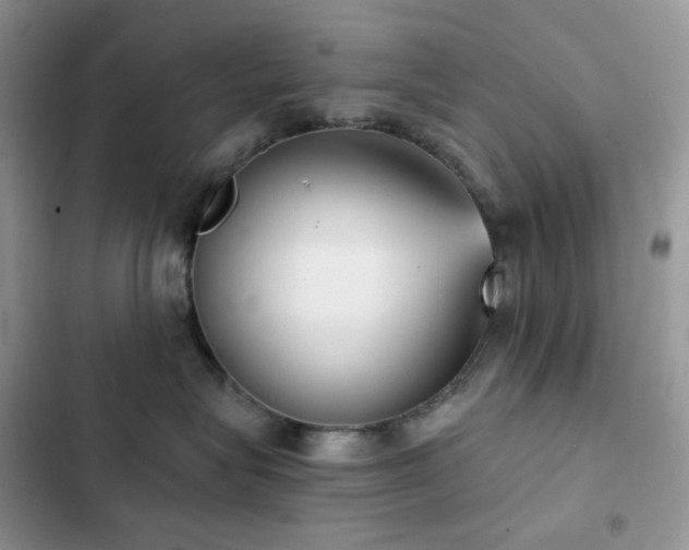 X0000102870575200808181508