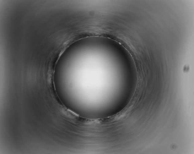 X0000102870576200808181508