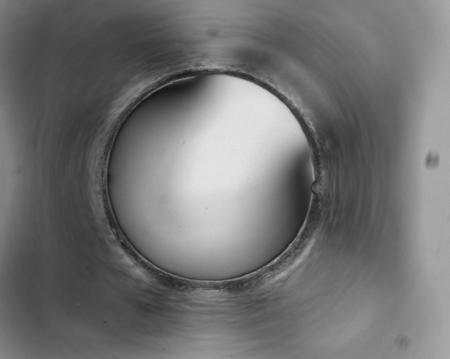 X0000102870577200808181508