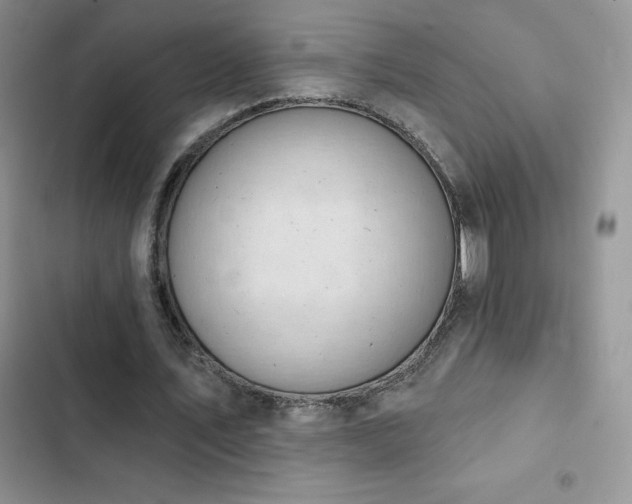 X0000102870579200808181508