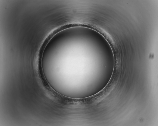X0000102870580200808181508