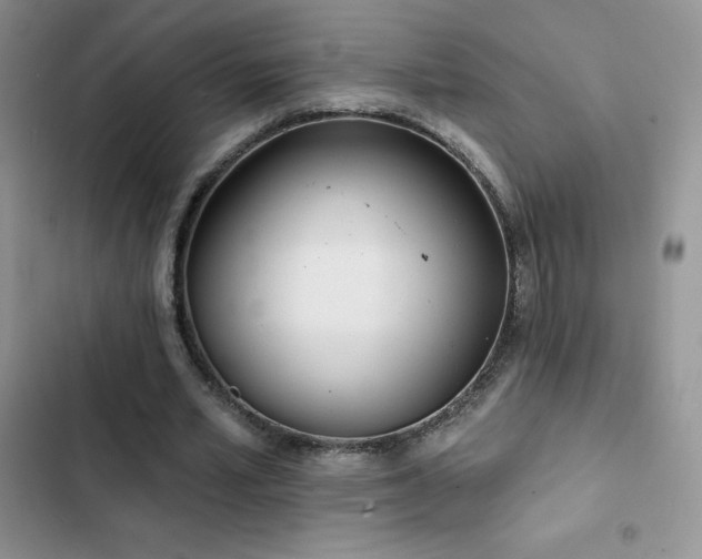 X0000102870581200808181508