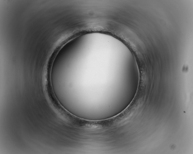X0000102870582200808181508