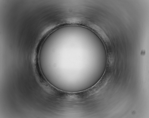 X0000102870583200808181508