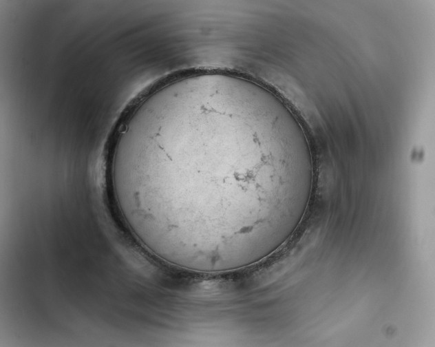 X0000102870584200808181508