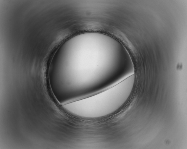 X0000102870585200808181508