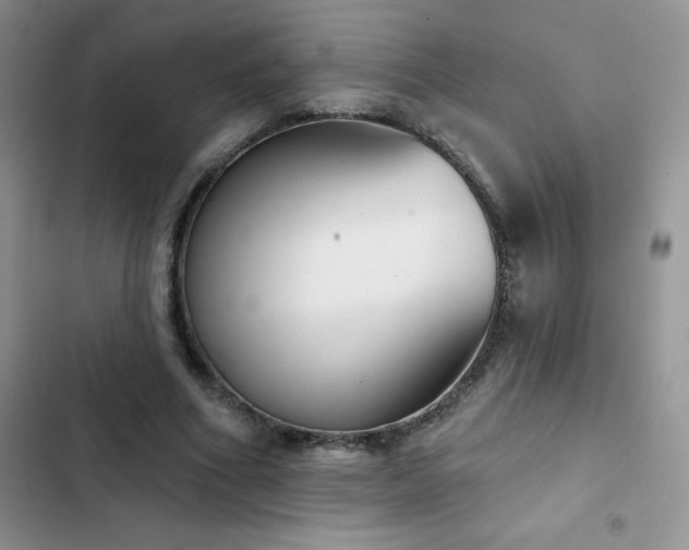 X0000102870586200808181508