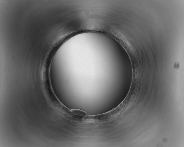 X0000102870587200808181508