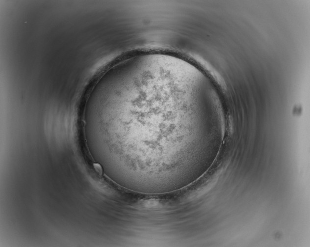 X0000102870588200808181508