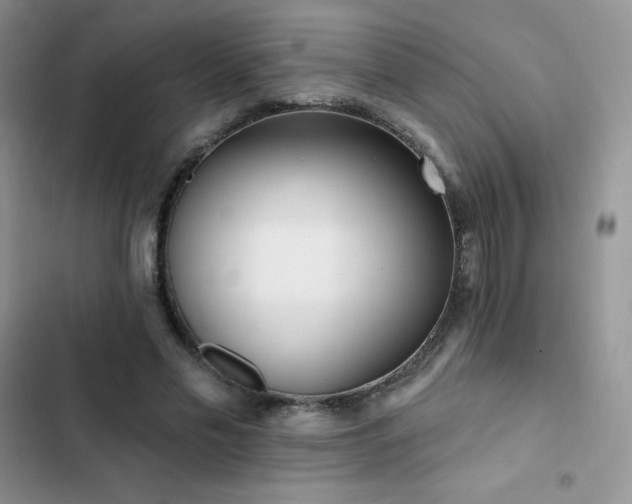 X0000102870589200808181508