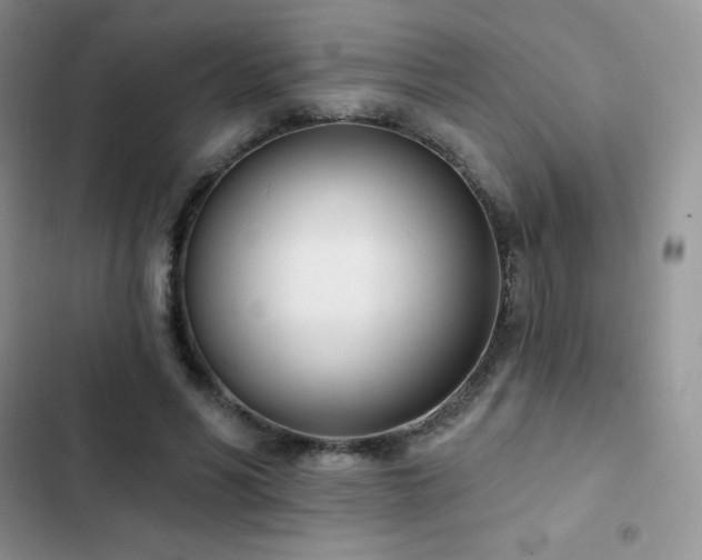 X0000102870590200808181508