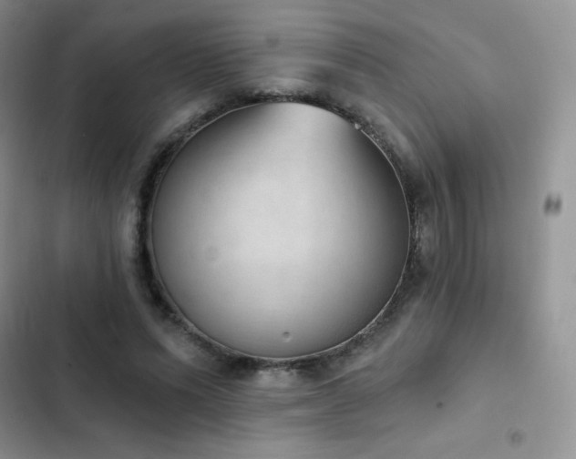 X0000102870591200808181508