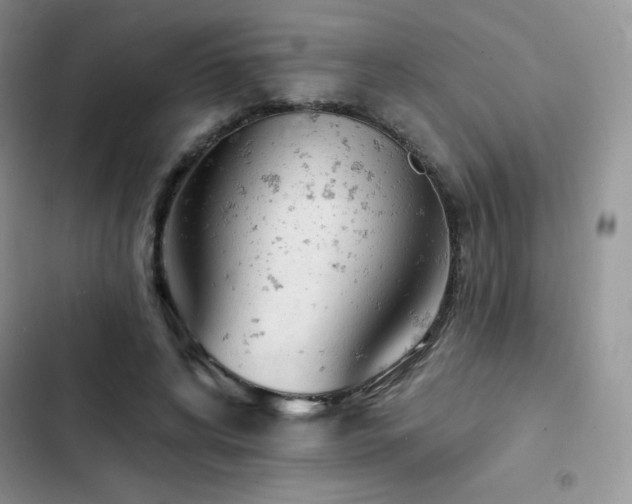 X0000102870592200808181508