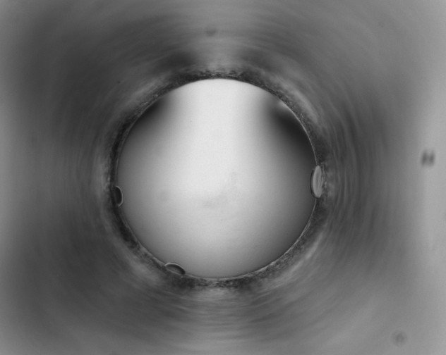 X0000102870593200808181508