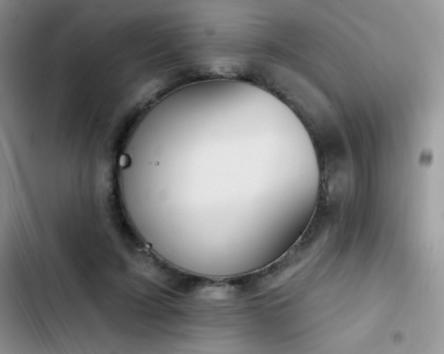 X0000102870595200808181508
