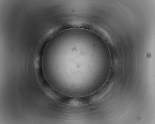X0000102870596200808181507
