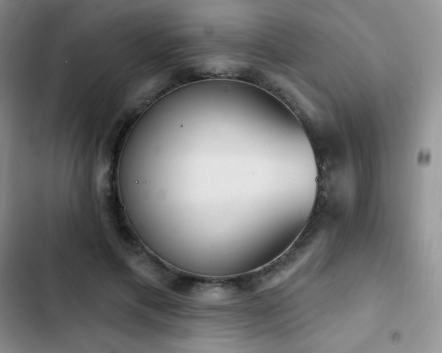 X0000102870597200808181507