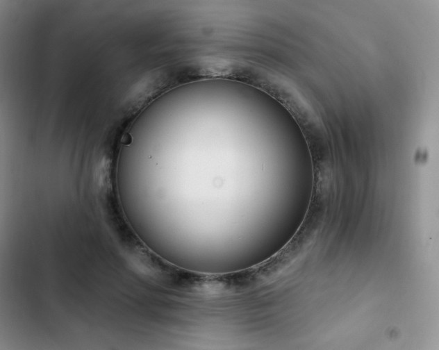 X0000102870598200808181507