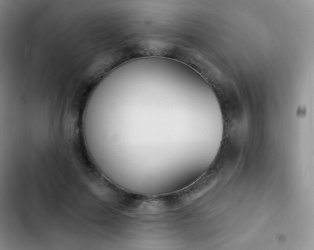X0000102870599200808181507