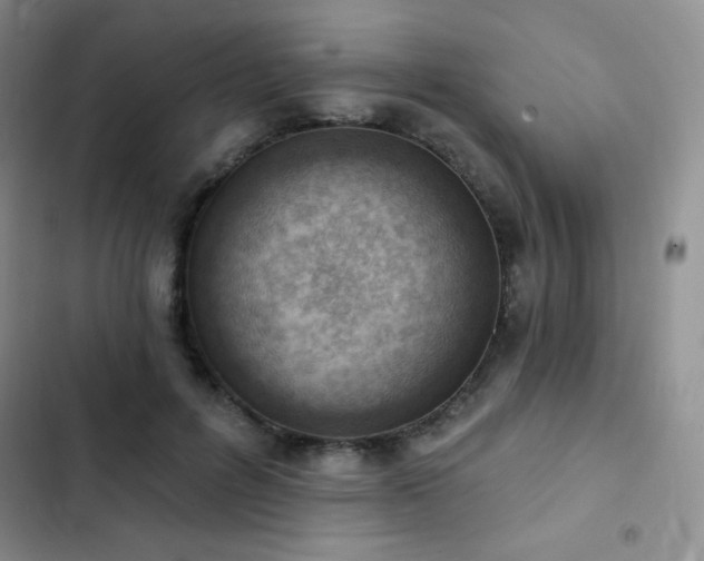 X0000102870600200808181507