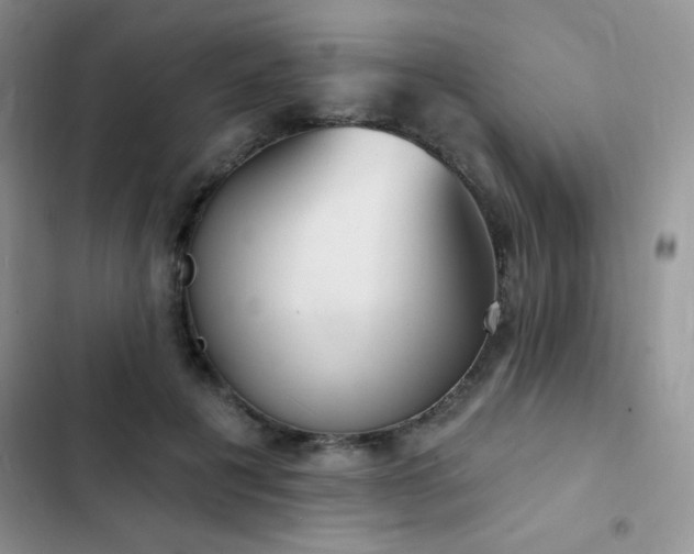 X0000102870601200808181507