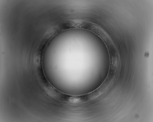 X0000102870602200808181507