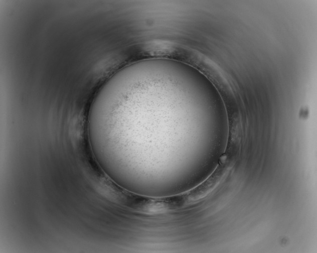 X0000102870604200808181507