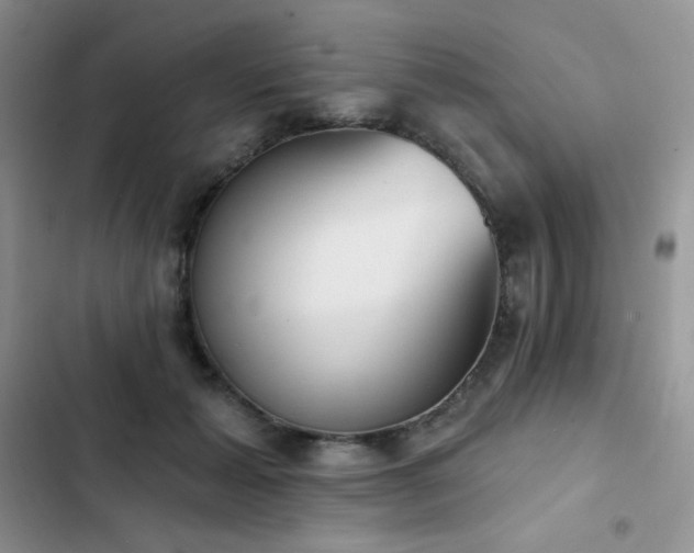X0000102870605200808181507