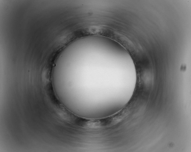 X0000102870606200808181507