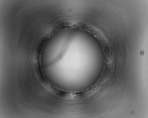 X0000102870607200808181507