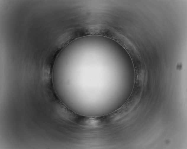 X0000102870610200808181507