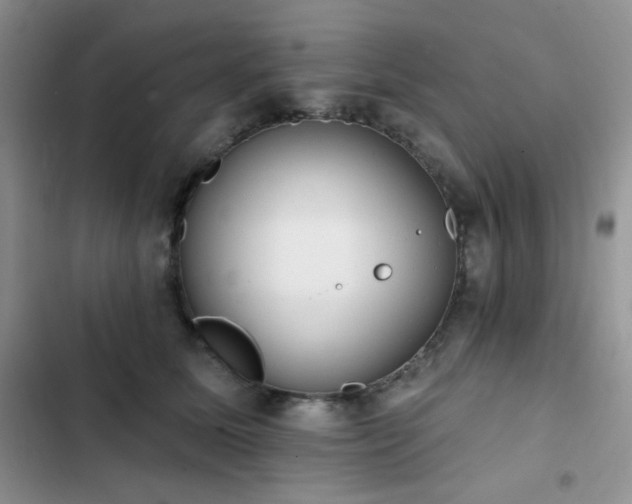 X0000102870611200808181507