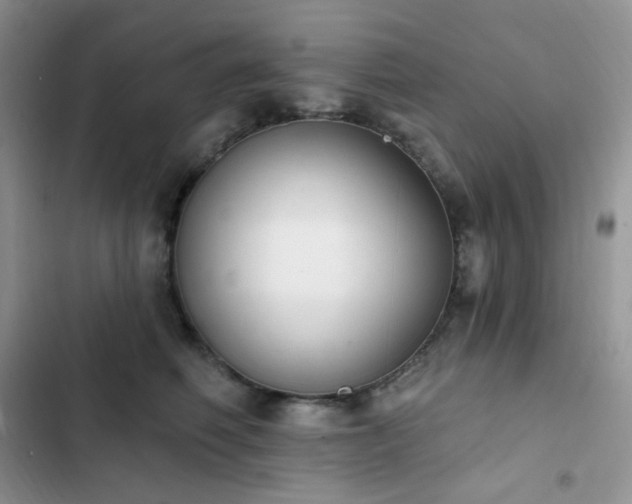 X0000102870614200808181507