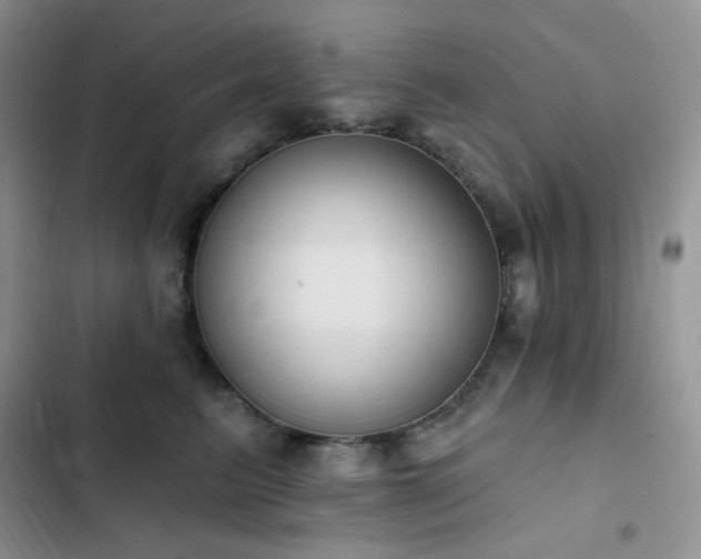 X0000102870615200808181507