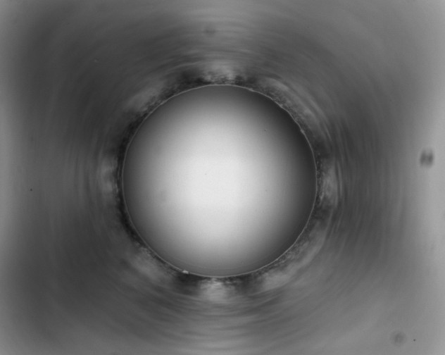 X0000102870616200808181507