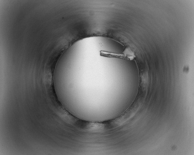 X0000102870617200808181507