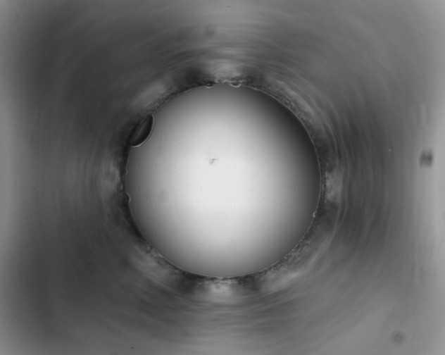 X0000102870618200808181507