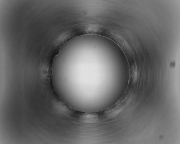 X0000102870619200808181507