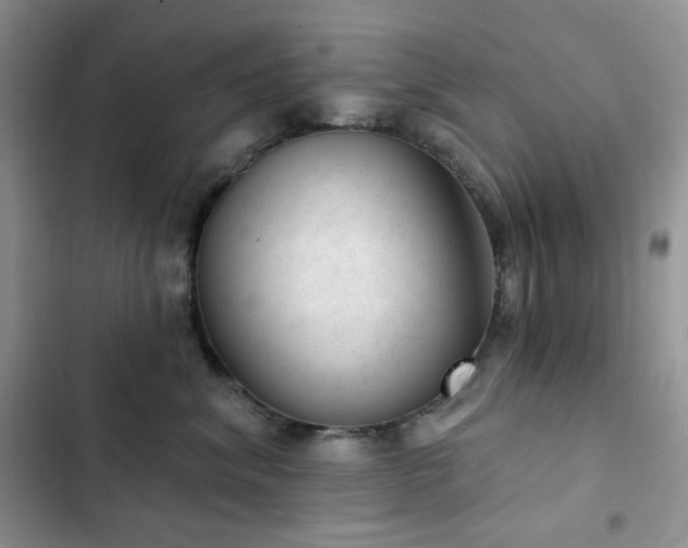 X0000102870620200808181507
