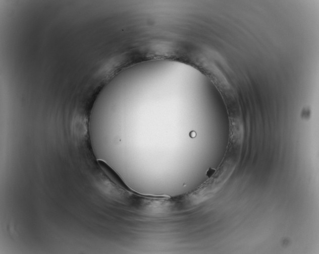 X0000102870621200808181507
