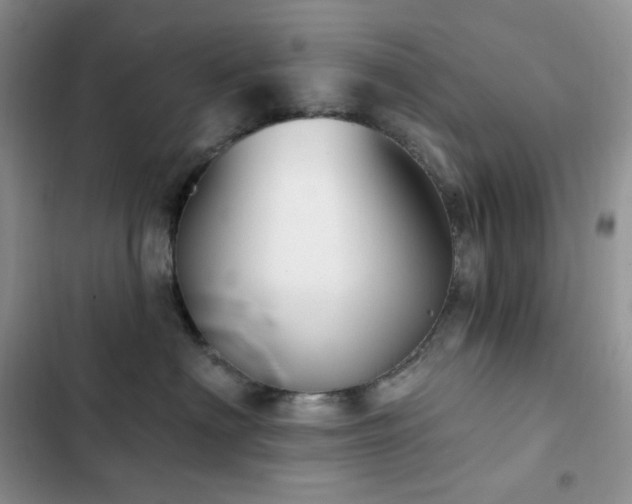 X0000102870622200808181507