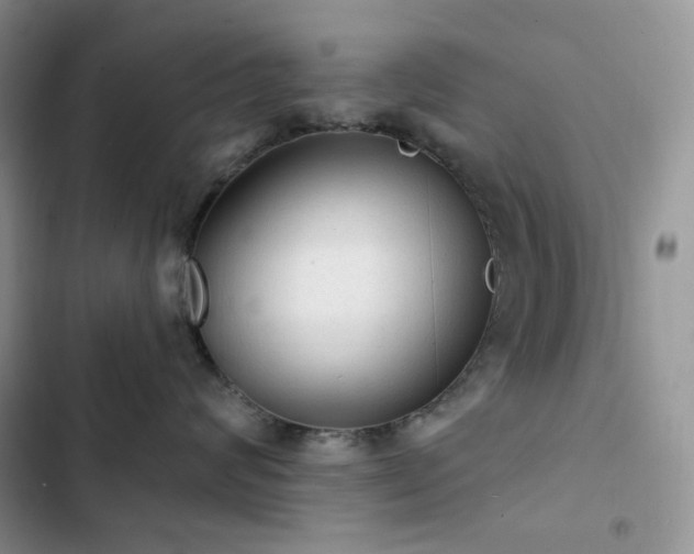 X0000102870624200808181507