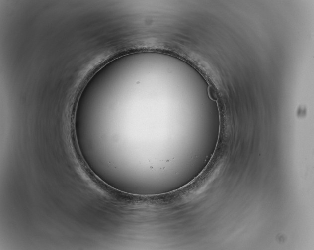 X0000102870625200808181506