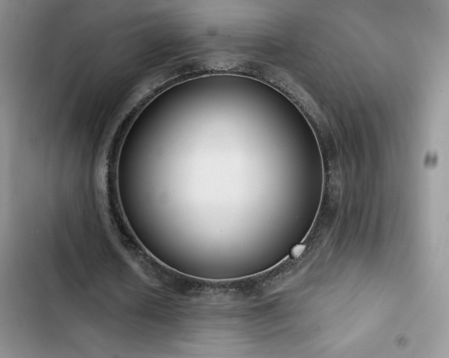 X0000102870626200808181506