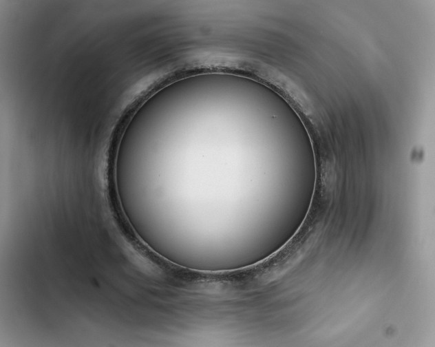 X0000102870629200808181506