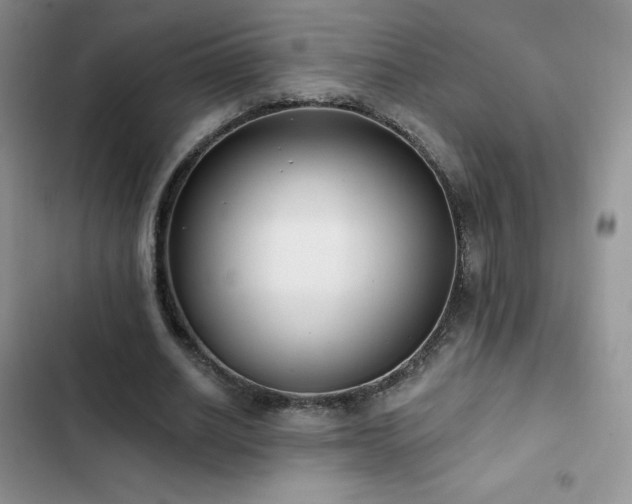 X0000102870630200808181506